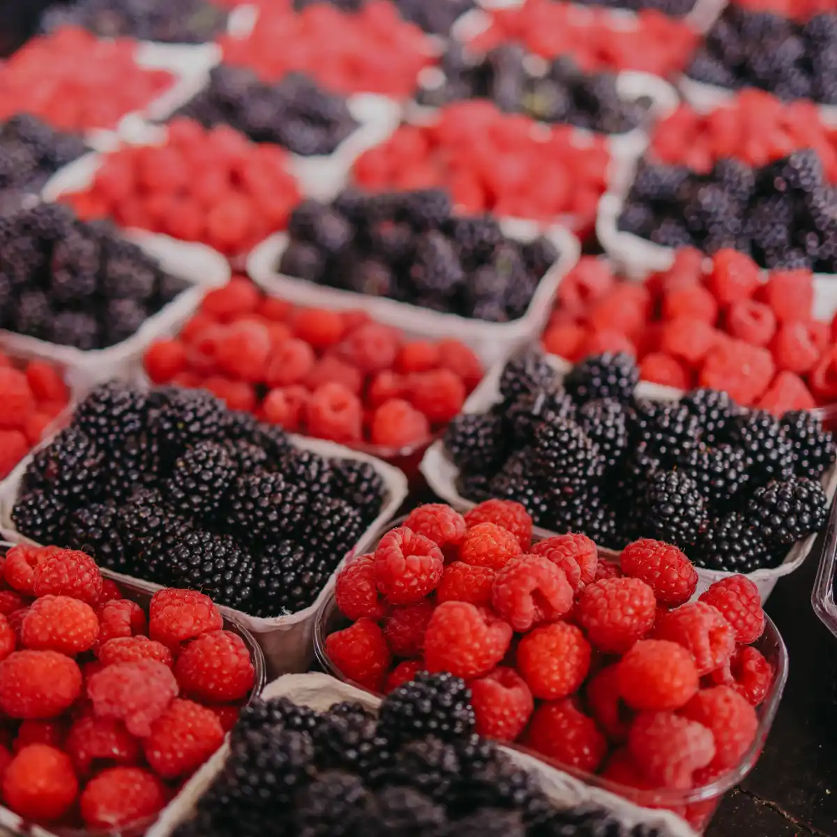 Fresh raspberries and blackberries in baskets