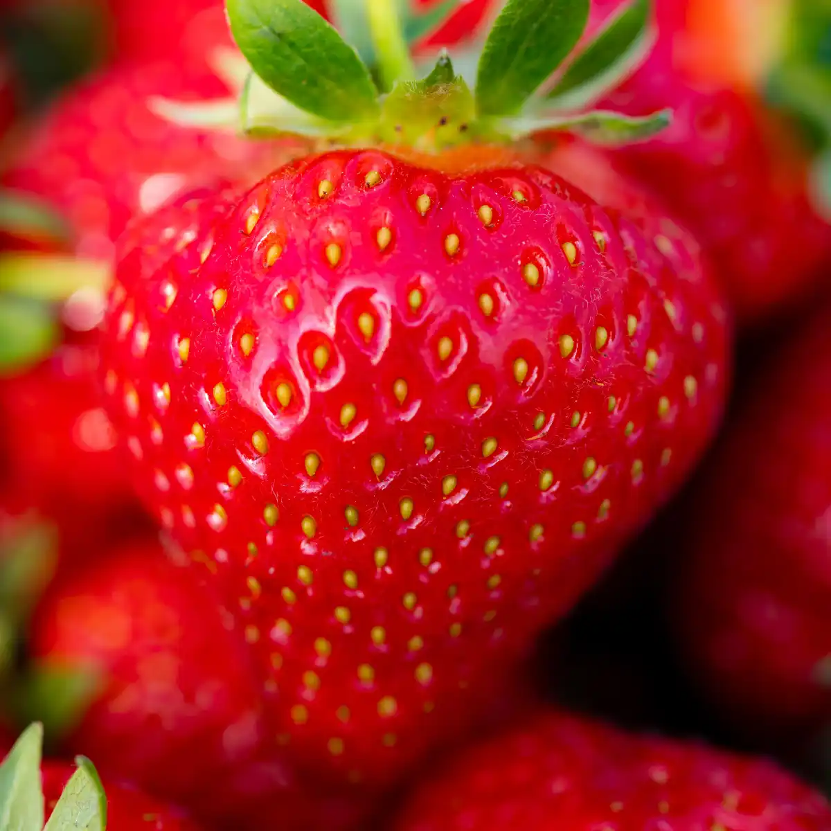 A close-up of a strawberry